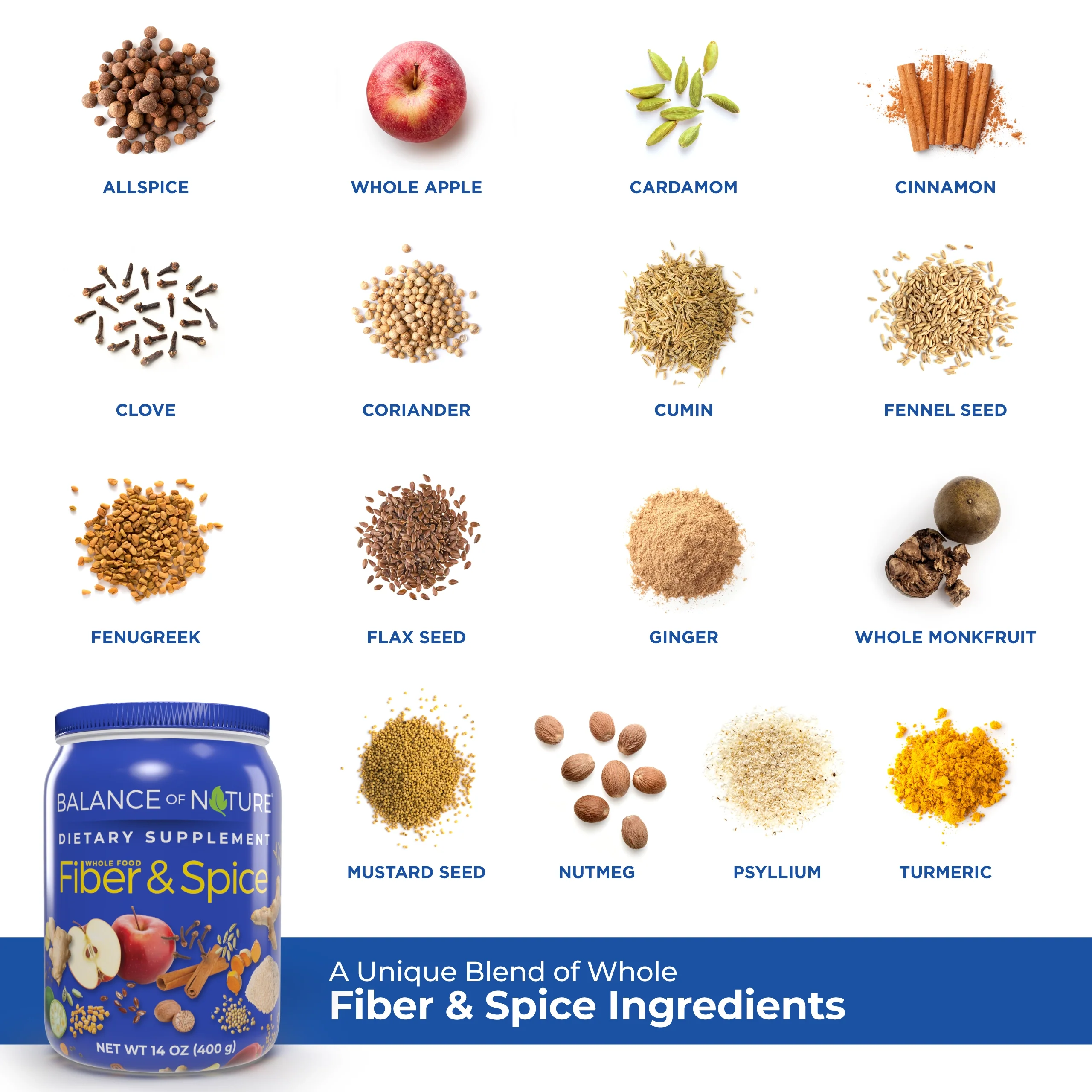 Fiber & Spice - Image 4